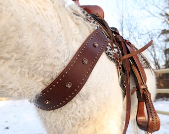 Bruin gebloemde klinknagel halsband en hoofdstel