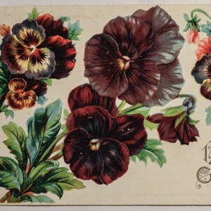 魅力的な 1910 年ヴィンテージ誕生日ポストカード、花柄デザイン | 1 セント ベン フランクリン切手と経年劣化