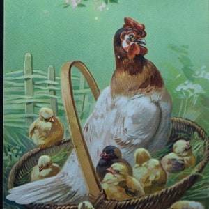 Charming Easter Postcard from 1909 featuring Hen, Chicks, and Ben Franklin Stamp