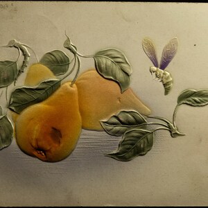1907年ヴィンテージの洋ナシとミツバチの絵葉書、裏面に手書きのメモ、希少なベンジャミン・フランクリンの切手