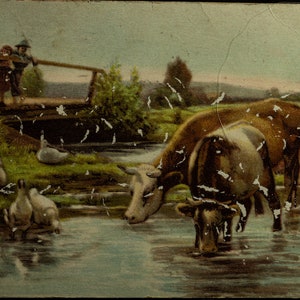 Rare Antique Postcard - Watering Place Landscape, 1906 Postmark & Ben Franklin Stamp