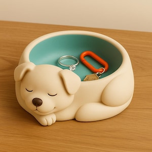 May include: A cream-coloured dog-shaped trinket dish with a teal interior. The dish holds a silver ring with a clear stone and an orange key ring. The dog is lying down with its eyes closed.
