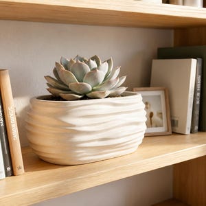 May include: A light green succulent plant in a cream-colored, wavy-textured ceramic pot. The pot sits on a wooden shelf with books and a framed photo. The shelf is part of a wooden bookcase.