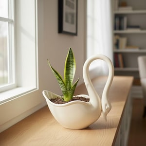 Puede incluir: Una maceta en forma de cisne de color crema que contiene una planta de serpiente. La maceta es de cerámica y tiene un cuello largo y curvo y un pico. La planta de serpiente tiene hojas a rayas verdes y amarillas. La maceta está sobre una superficie de madera.