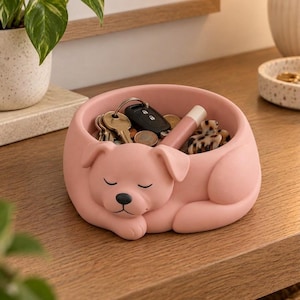 Può includere: Una ciotola in ceramica rosa opaco a forma di cane che dorme, con una finitura liscia e un naso nero. L'interno della ciotola contiene vari piccoli oggetti, tra cui chiavi in metallo, una chiave per auto nera, un balsamo labbra rosa e un fermaglio.