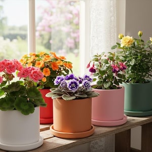 Two-Piece Cylinder Planter STL | Pot & Tray Set | Modern Minimalist 3D Print Plant Pot