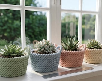 May include: Four small succulent plants in decorative rope-textured pots sit on a windowsill. The pots are pastel green, blue, pink, and beige. A metal ruler rests on the sill. The background shows a window and green foliage.