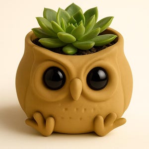 Puede incluir: Una maceta con forma de búho de color marrón claro con grandes ojos negros y pequeños pies. Contiene una planta suculenta verde. El búho tiene una superficie texturizada. Un artículo decorativo encantador para el hogar, ideal para suculentas.
