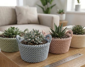 Puede incluir: Una colección de pequeñas plantas suculentas en macetas decorativas con textura de cuerda. Las macetas son de colores pastel: verde, azul, rosa y crema. Las plantas están sobre una mesa de madera, con un sofá en el fondo. Una regla metálica está sobre la mesa.