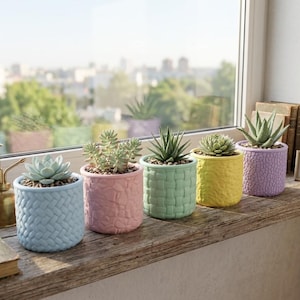 May include: Five small succulent plants in cylindrical pots arranged in a row. The pots feature distinct textures including woven patterns and cracked stone designs in pastel blue, pink, light green, yellow, and lavender colors.