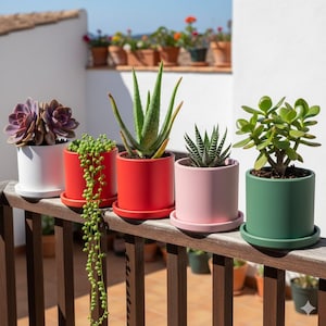 May include: A row of potted succulents and cacti in various colors. The plants are in white, red, pink, and green cylindrical pots with matching saucers. The plants include a purple succulent, aloe vera, and a jade plant. The pots sit on a wooden railing.