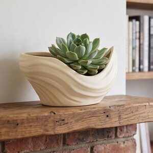 May include: A cream-colored ceramic planter with a wavy, rippled exterior texture. The planter features a wide, open top and holds a green succulent plant with thick, layered leaves arranged in a rosette pattern, creating a natural display.