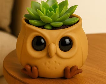 3D Owl Shaped Succulent Planter | Decorative Mini Pot | 3D Model