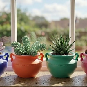 May include: Four brightly coloured ceramic pots, each with a different succulent, sit on a wooden surface. The pots are blue, orange, green, and pink. The window behind them offers a blurred view of the outside.