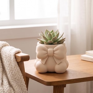 Può includere: Un vaso in ceramica color beige chiaro caratterizzato da un fiocco in rilievo sulla parte anteriore e una base arrotondata. Una pianta succulenta verde dalle foglie appuntite è piantata nel contenitore, appoggiato su una superficie in legno.