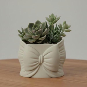 Bow Planter STL | Ribbon Succulent Pot | Minimal Support 3D Printable Digital Model