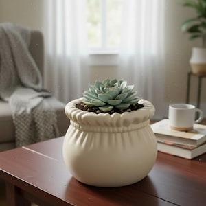 May include: A cream-colored, round ceramic planter with a ruffled top, holding a light green succulent. The planter sits on a dark wood table, with a white mug and books in the background. The room has a neutral color palette.