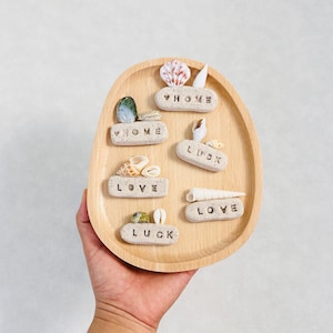 Miniatures Handmade Seashells Polymer Clay Magnet Set Fridge Magnets  refrigerator decor beach fridge decor Kitchen Custom shells  Ornament