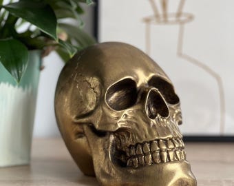 Pode incluir: Uma escultura de crânio dourado com detalhes precisos das órbitas oculares, da cavidade nasal e dos dentes. O crânio está colocado sobre uma superfície de madeira. Um vaso de plantas e uma obra de arte emoldurada são visíveis no fundo.