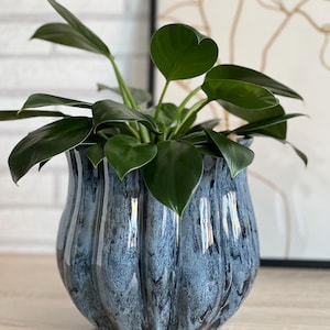 Könnte beinhalten: Ein dekorativer blauer Keramik-Pflanztopf mit geripptem Design, gefüllt mit üppigen grünen Pflanzen. Der Topf hat eine glänzende Oberfläche und steht auf einer Holzoberfläche. Im Hintergrund ist ein gerahmtes Kunstwerk zu sehen.
