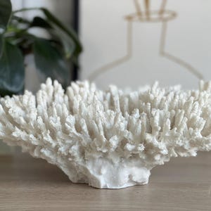 Korallen Deko Weiß – Skandinavische Tischdeko – Coral Deko – Maritime Deko – Minimalistische Wohnaccessoires – Modern Home Decor
