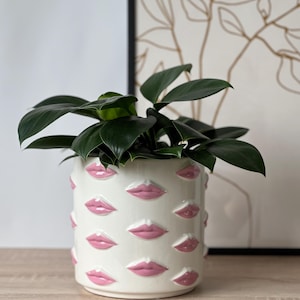 Puede incluir: Una maceta de cerámica blanca con un patrón de labios rosas, que contiene una planta verde con hojas oscuras. En el fondo, una obra de arte enmarcada con un dibujo lineal.