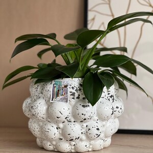 Può includere: Un vaso di ceramica bianco con un design strutturato a bolle e macchie nere, riempito con una pianta verde a foglie. Il vaso ha un'etichetta che dice "PORTOGALLO". Una stampa artistica incorniciata è sullo sfondo.