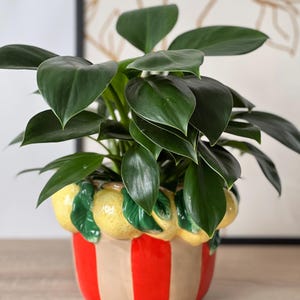 Flowerpot ceramic handmade – Mediterranean lemon plant pot – decorative planter vintage – pot for plants – lemons – ceramic pot