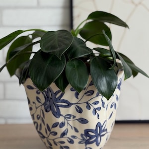 Könnte beinhalten: Eine Topfpflanze mit dunkelgrünen Blättern in einem cremefarbenen Keramiktopf. Der Topf hat ein blaues Blumenmuster. Die Pflanze steht auf einer Holzoberfläche, im Hintergrund eine weiße Ziegelmauer und gerahmte Kunst.