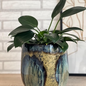 Könnte beinhalten: Ein Keramik-Pflanztopf mit glänzendem Finish, der eine Mischung aus Blau-, Braun- und Goldtönen aufweist. Der Topf ist mit einer grünen, blättrigen Pflanze gefüllt. Das Design des Topfes hat einen strukturierten, getropften Glanzeffekt.