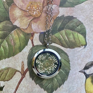 Natural Jewelry,terrarium necklace,botanical,real plant jewelry,bridesmaid necklace,queen anne's lace, pressed flower,dried plant necklace