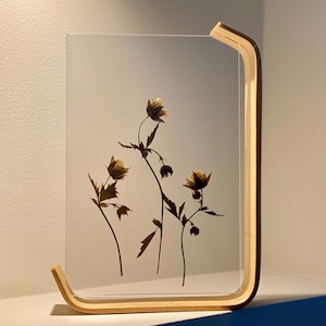Pressed Flower Art, Botanical Frame, Handmade Home Gift, Plant Lover Decor, Housewarming Gift