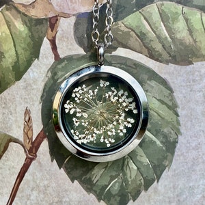 Natural Jewelry,terrarium necklace,botanical,real plant jewelry,bridesmaid necklace,queen anne's lace, pressed flower,dried plant necklace