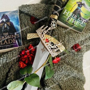 May include: A silver sword with a gold hilt and a red jewel on top. The sword is surrounded by a crown, red roses, and two books with the titles "The Assassin's Blade" and "Heir of Fire".