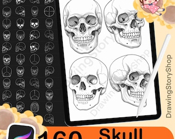 160 Procreate Skull Stamp Brushes, Skull Stamp Set, Skull Brush, Procreate Head, Procreate Halloween, Human Skull Stamp, Skull Tatto Stamp