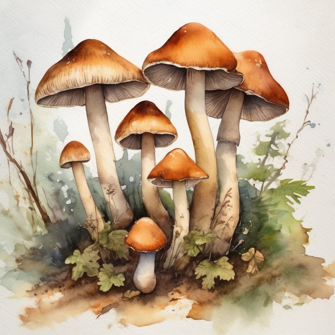Wild Mushroom, Watercolor , Nature Scene - Etsy