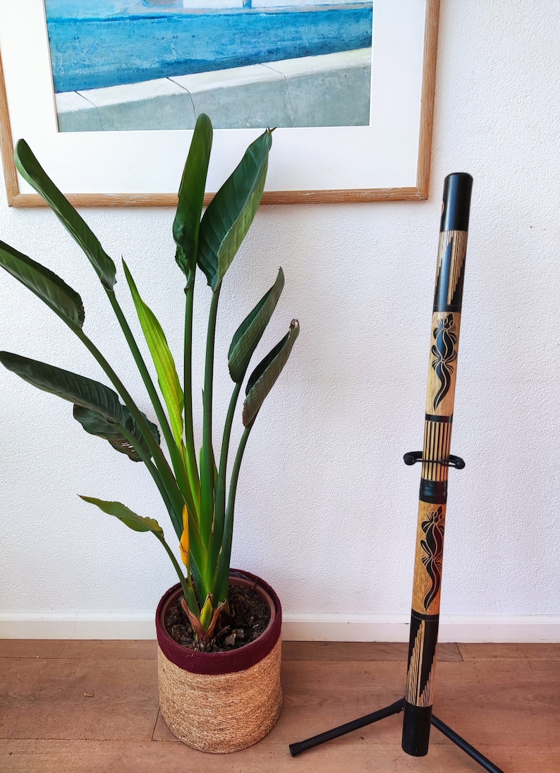 Easy to Play Bamboo Didgeridoo Carved 120cm for Beginners Including Bag