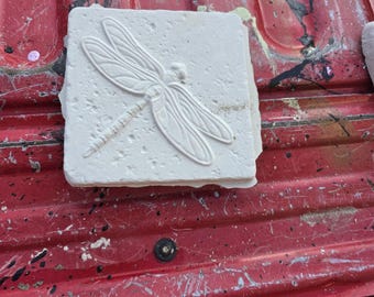 cement dragonfly stone