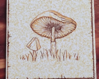 Vintage Mushroom Tiles by H & R Johnson Ltd, England, 4.25 X 4.25 1970's