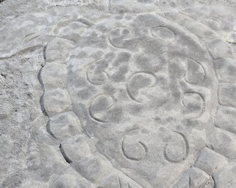 Hand made cement turtle walking stone