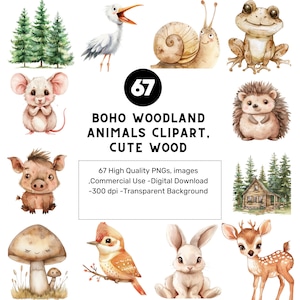 67 Boho Woodland Clipart, schattige bosdieren Clipart, babydieren, Woodland Baby Shower Clipart, Woodland Nursery, Boho Forest Animals