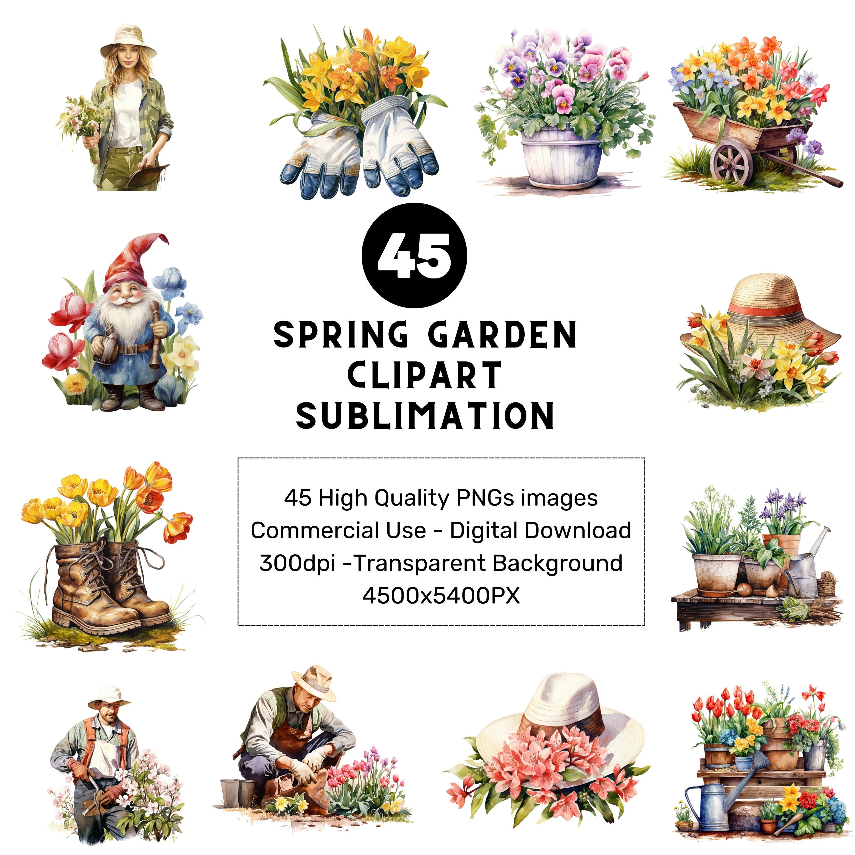 45 Pngs, BEAUTIFUL Garden Spring Watercolor Clipart, Floral Clipart ...