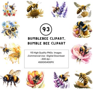 93 Bumblebee Clipart, Bumble bee clipart, Watercolor bumblebee, High Quality PNGs, Digital download, Paper craft, junk journals, sublimation