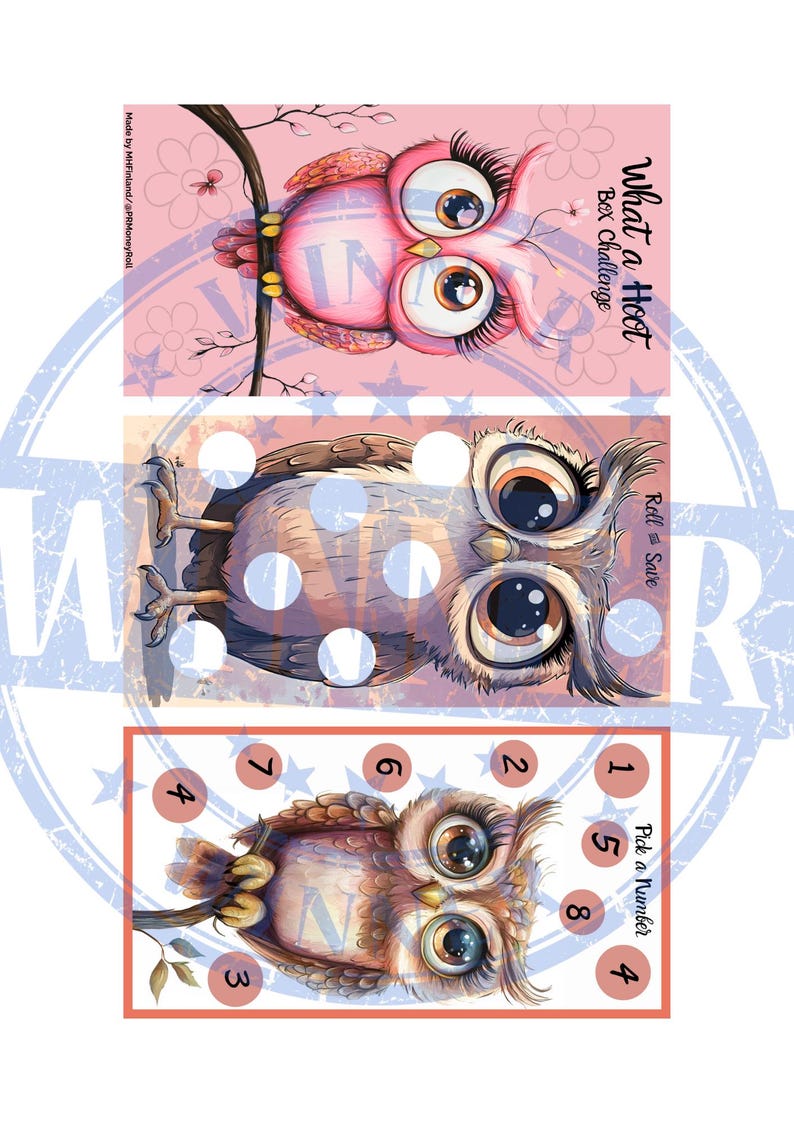 May include: Three pink and brown owl illustrations on a pink background. The top owl has a pink body and brown eyes. The middle owl has a brown body and brown eyes. The bottom owl has a brown body and brown eyes. The bottom owl is surrounded by a circle of numbers 1 through 8. The text "What a Hoot" and "Bex Challenge" is at the top of the image. The text "Roll & Save" is next to the middle owl. The text "Pick a Number" is next to the bottom owl.