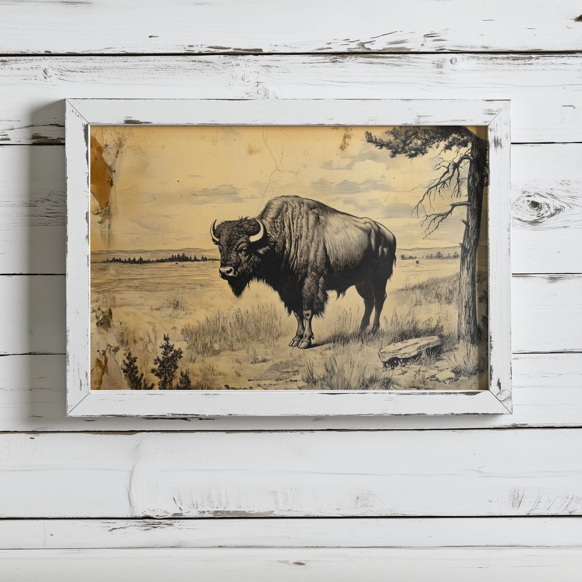 Vintage Style American Bison Print | Antique Western Wall Art | Rustic ...