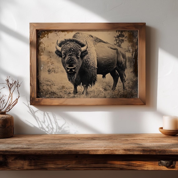 アンティーク雑貨 30s Antique Cigar Felt American Bison Vintage Style American Bison Tintype Print | Antique Western Wall
