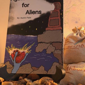 Lake Superior Agate Children’s Book