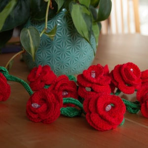 Könnte beinhalten: Eine Girlande aus gehäkelten roten Rosen mit grünen Stielen und Blättern. Die Rosen sind mit kleinen weißen Lichtern beleuchtet.