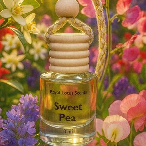 Hanging Car Diffuser-Car Air Freshener