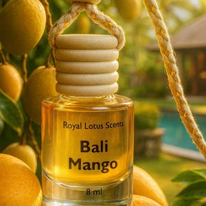 Bali Mango Hanging Car Diffuser-Car Air Freshener